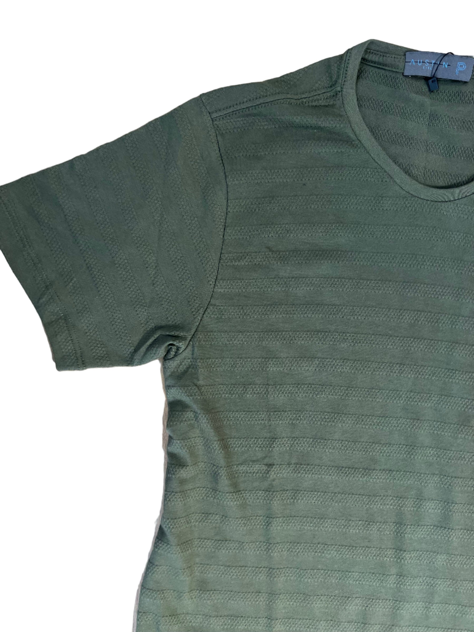Camisa Reg Dif Austin 22731