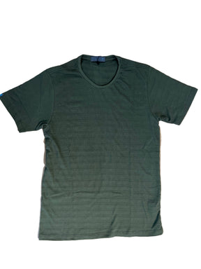 Camisa Reg Dif Austin 22731