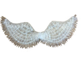 Asa de Anjo com LED