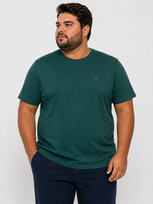 Camisa Plus FBR 18221G