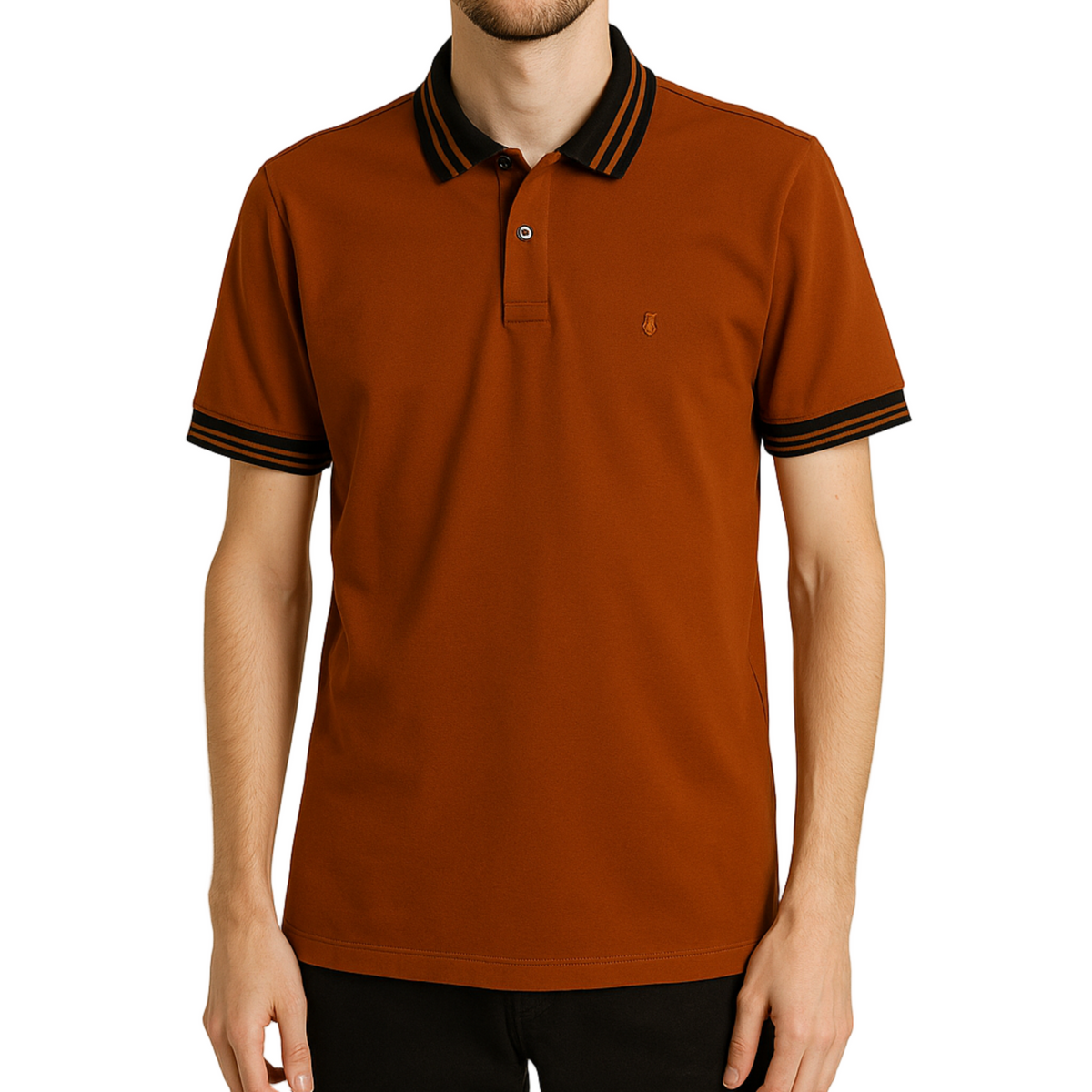 Polo Básica Goff 2074