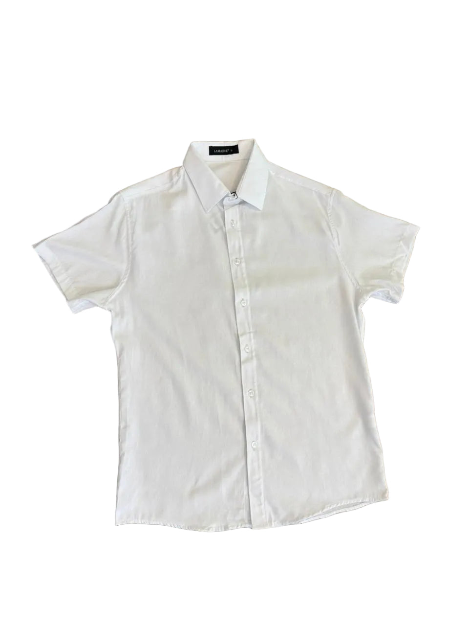 Camisa Linho Lamarck M/C